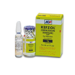 Kefzol 1Gm Injection