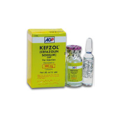 Kefzol 500mg  IM/IV Injection 1Vial