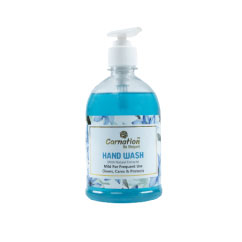 Family Hand Wash 450ml